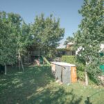67 jacaranda street 15.2